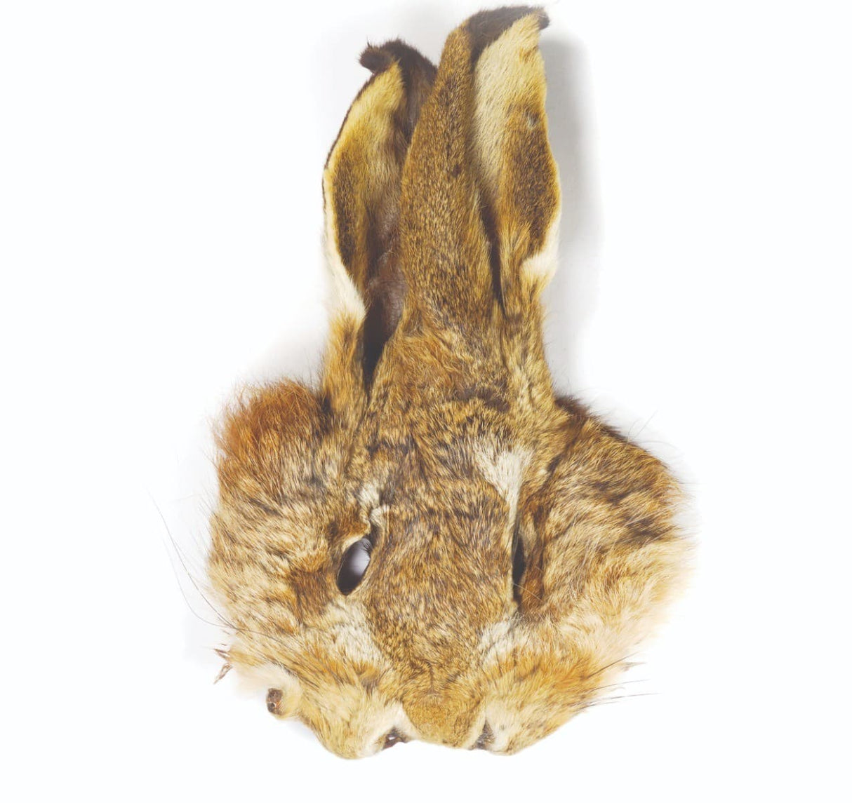 hare_mask-natural_1.jpg