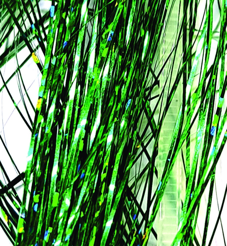 holo_green.jpg