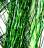 holo_green.jpg