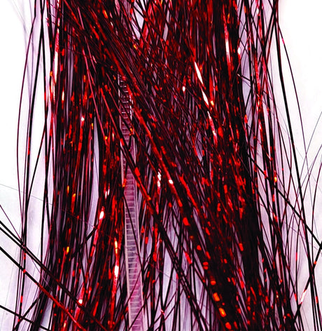 holo_red.jpg