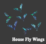 housefly_wings_2.jpg