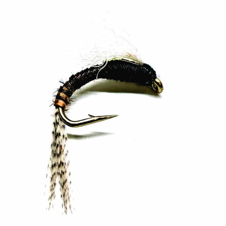 juju_bactus_n1440.jpg