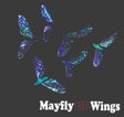 mayfly_wings_1.jpg