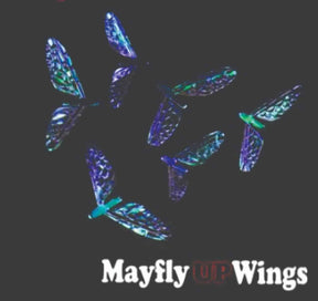 mayfly_wings_1.jpg