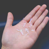 mayfly_wings_3.jpg