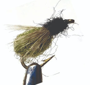 n0001.jpg