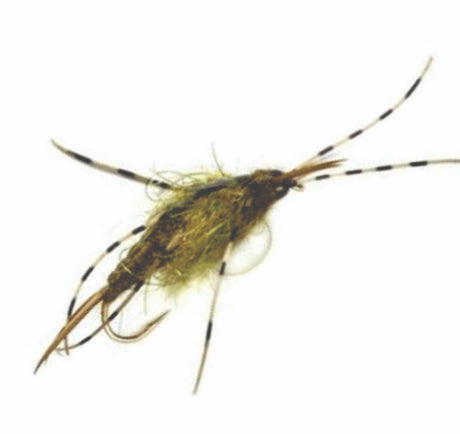 n1076_1.jpg