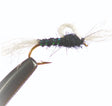 n1509.jpg