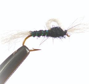 n1509.jpg