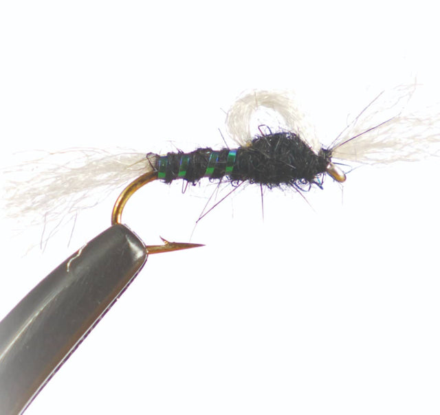 n1509.jpg