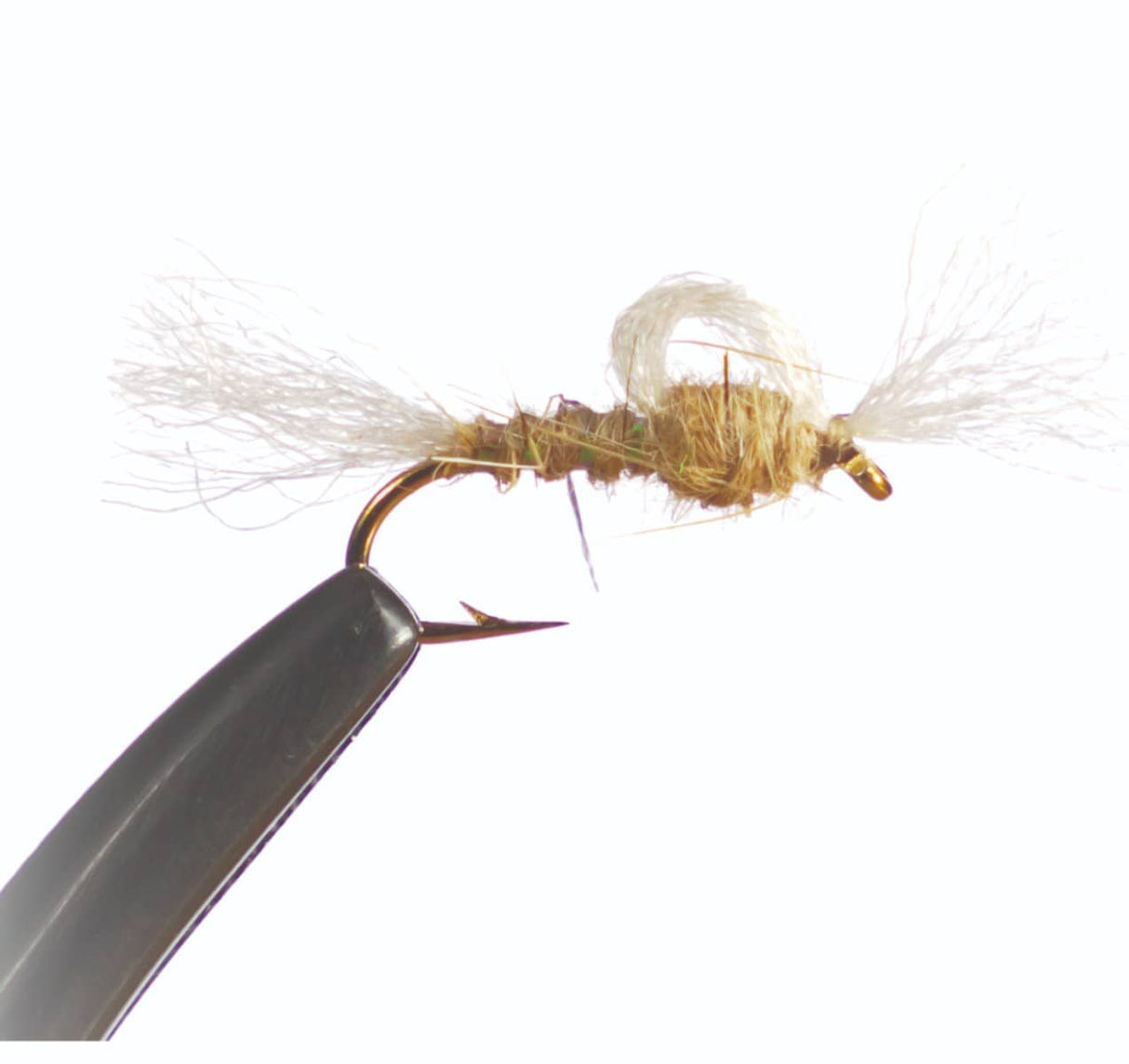 n1512.jpg