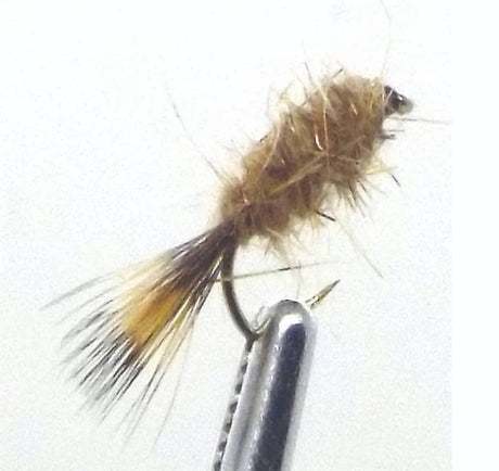 n85.jpg