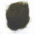 olive_1.jpg
