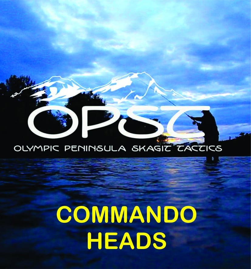 opst_12_ch.jpg