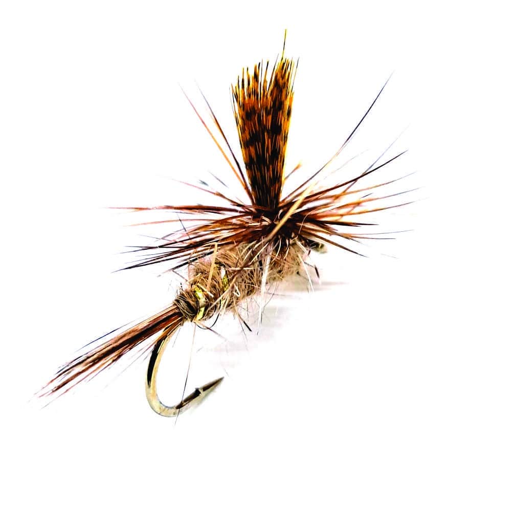 para_march_brown_df005_1.jpg