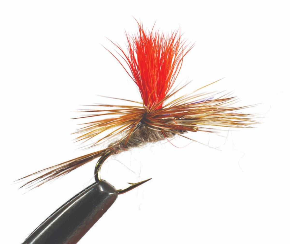 Dry Fly Selection (50 flies for New Zealand Trout)