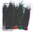 peacock_herl-_black.jpg