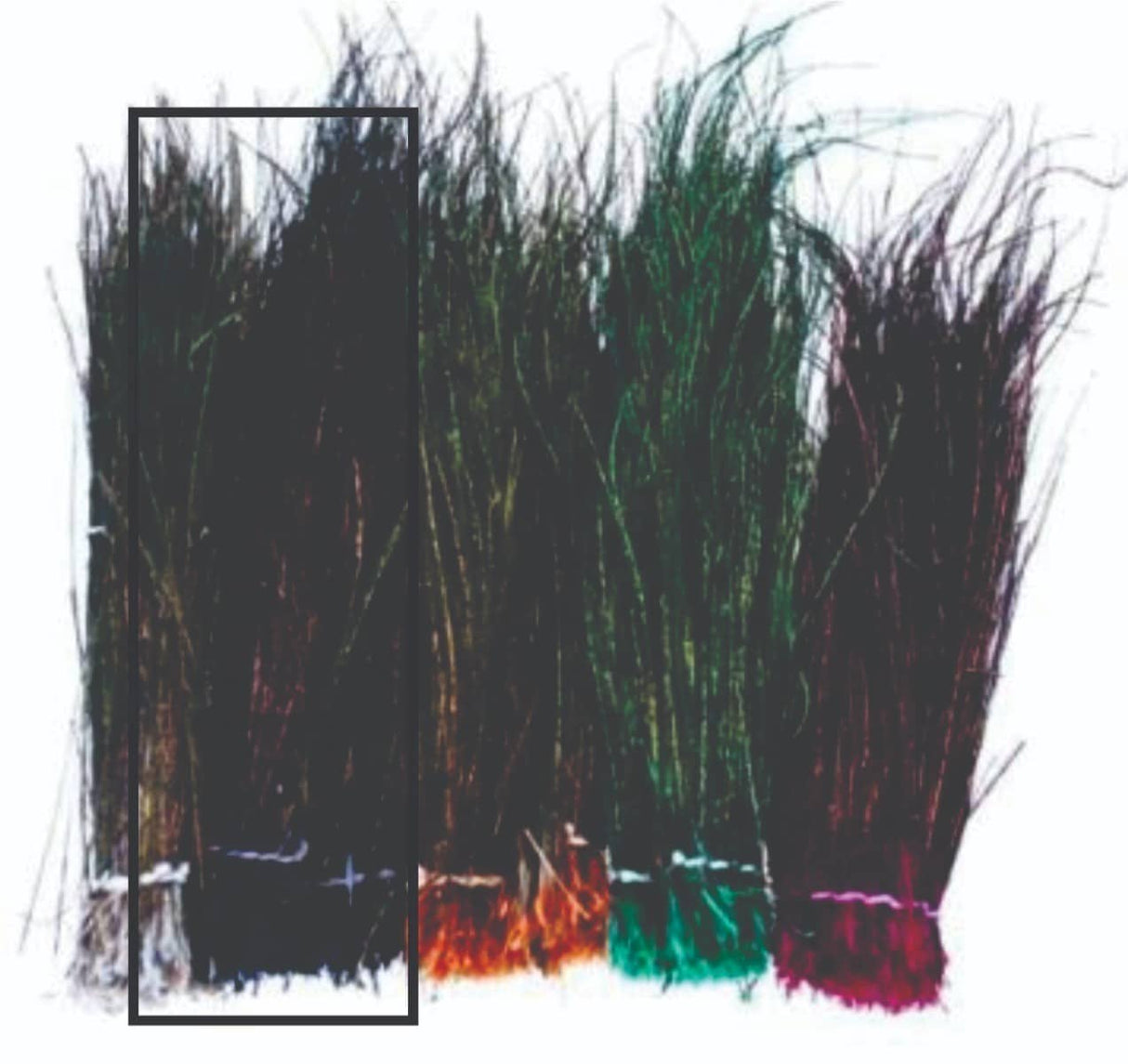 peacock_herl-_black.jpg