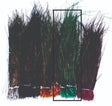 peacock_herl-_green.jpg