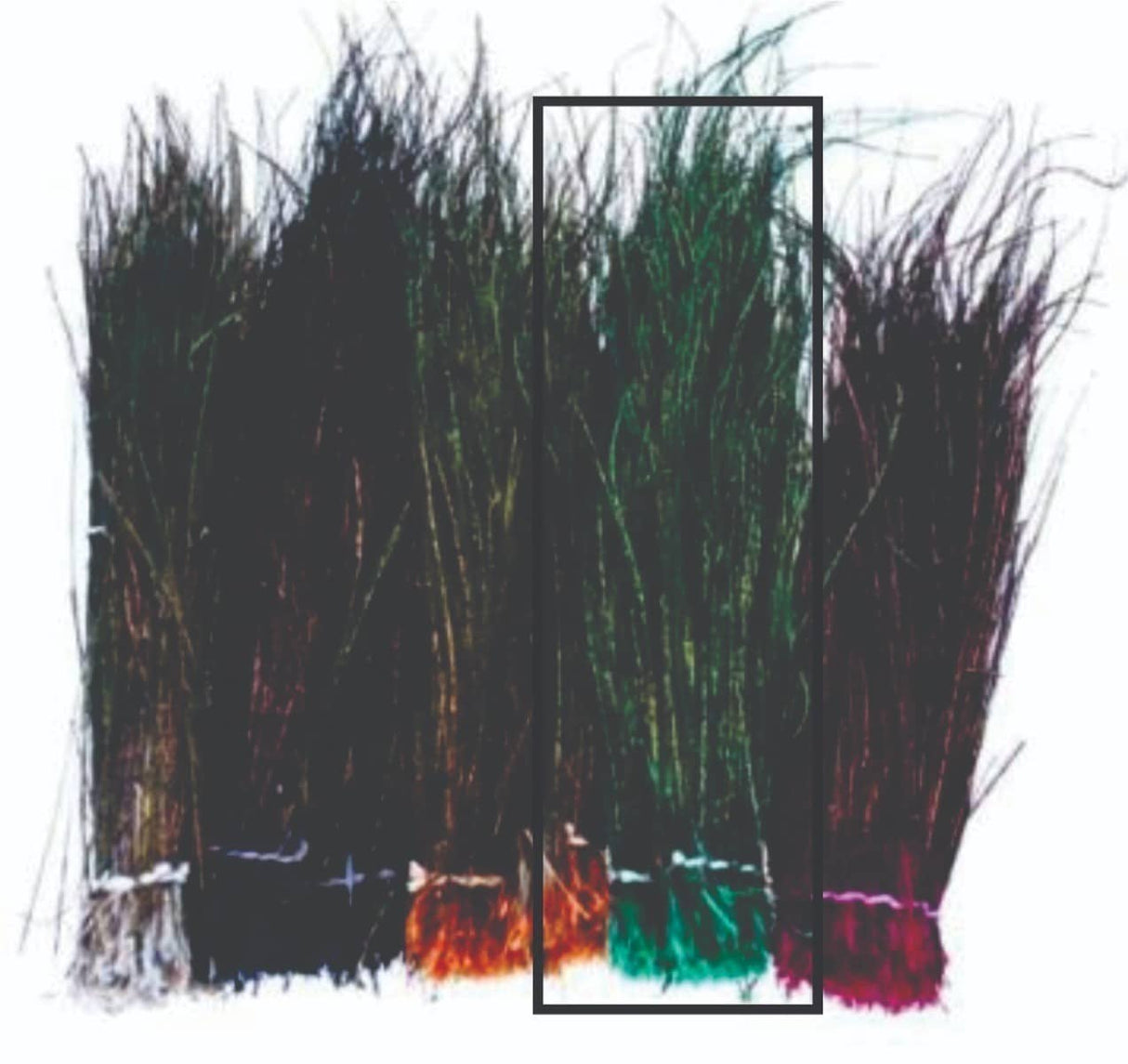 peacock_herl-_green.jpg