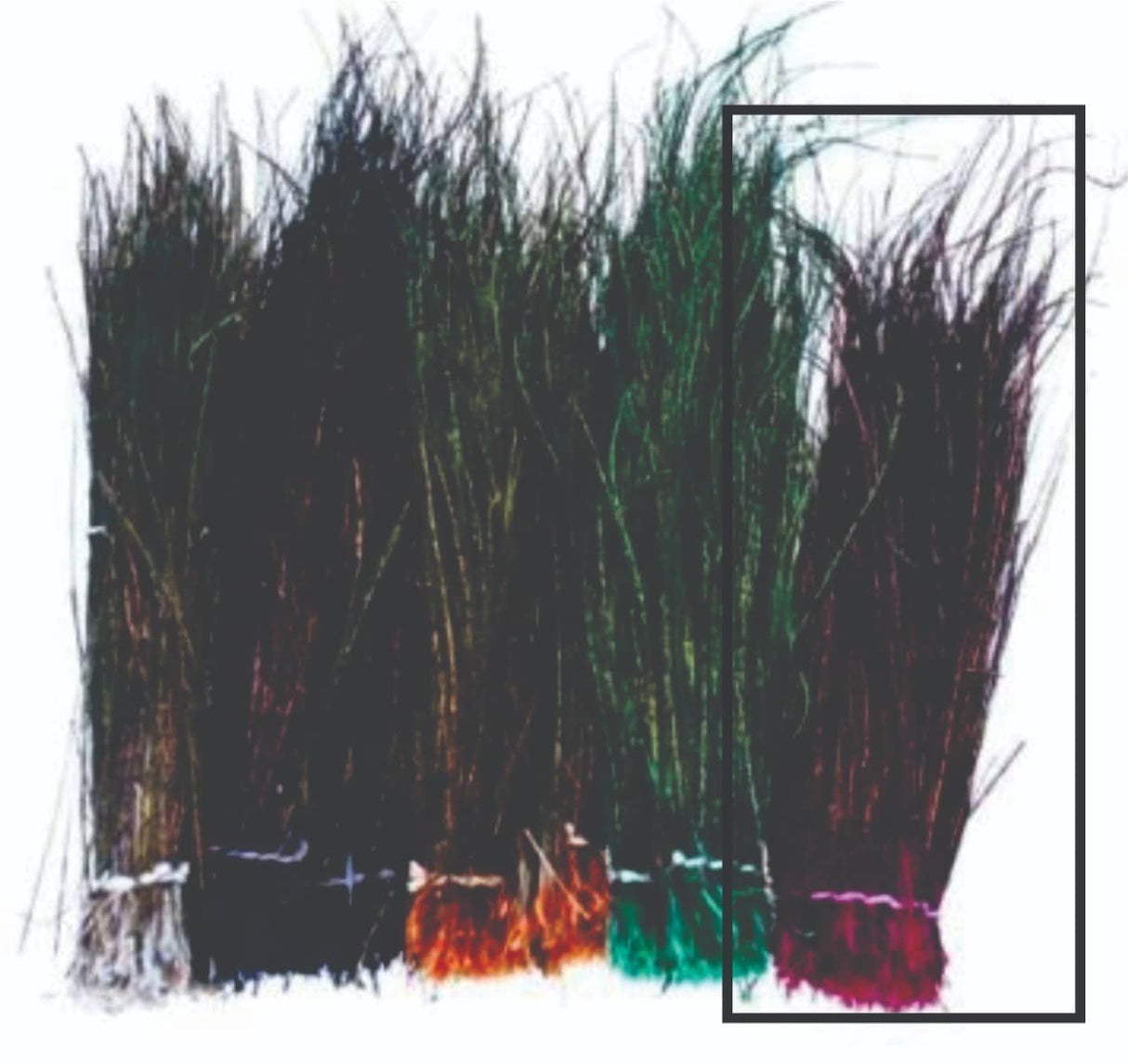 peacock_herl-_magenta.jpg