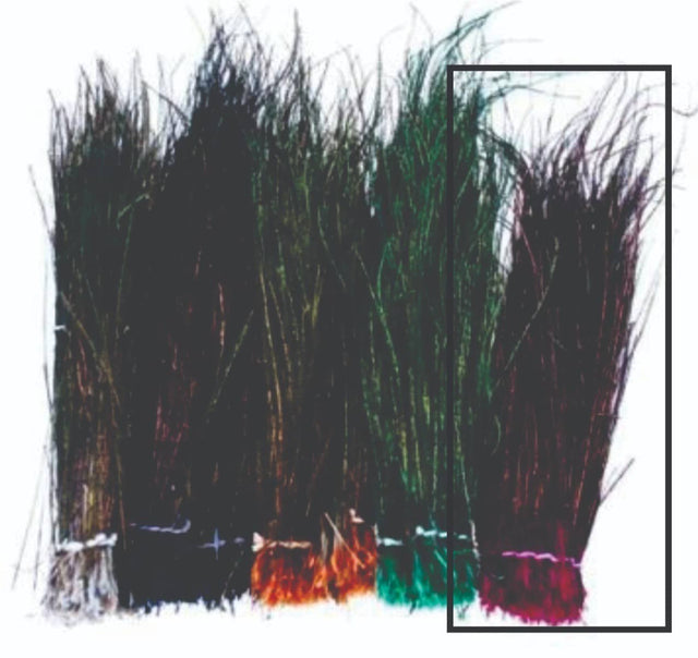 peacock_herl-_magenta.jpg