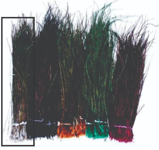peacock_herl-_natural.jpg