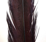 pheasant_tail_claret.jpg