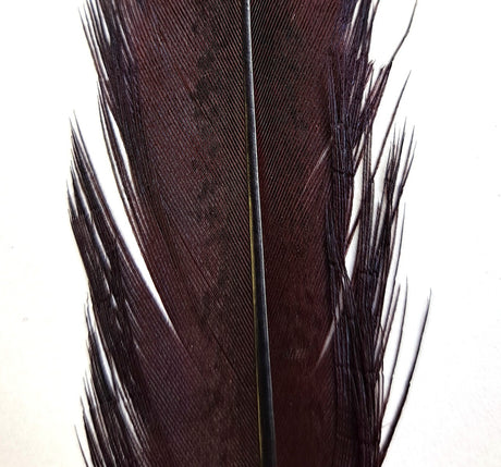 pheasant_tail_claret.jpg