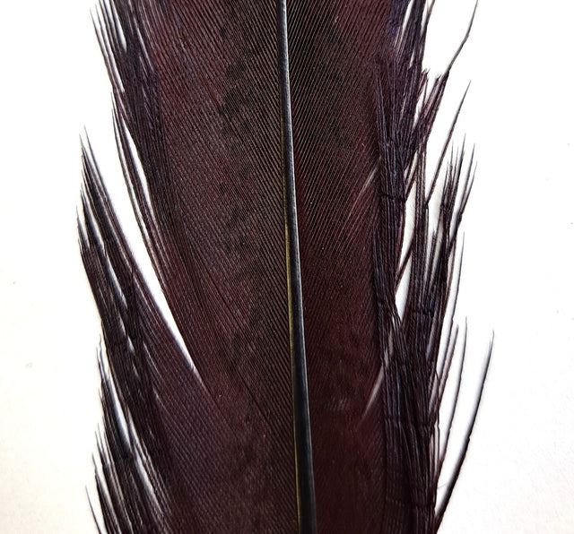 pheasant_tail_claret.jpg