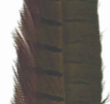 pheasant_tail_golden_olive.jpg