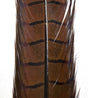 pheasant_tail_med_olive.jpg