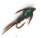 pt_n570_1.jpg