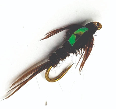 pt_n570_1.jpg
