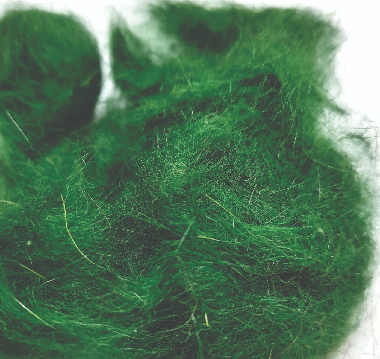 rabbit_dubbing_olive_08.jpg