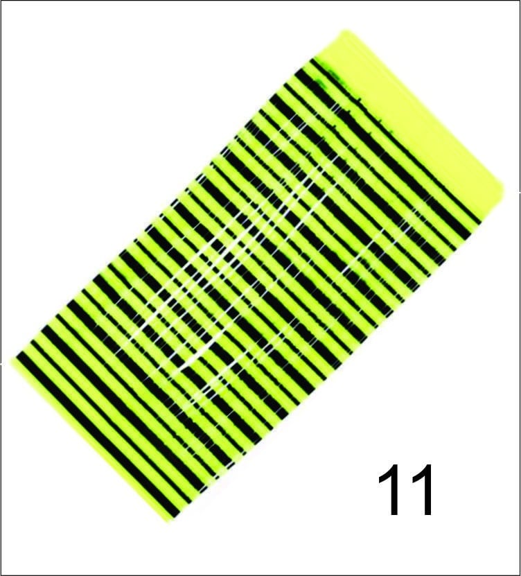 silicone_20legs_2011_1_.jpg