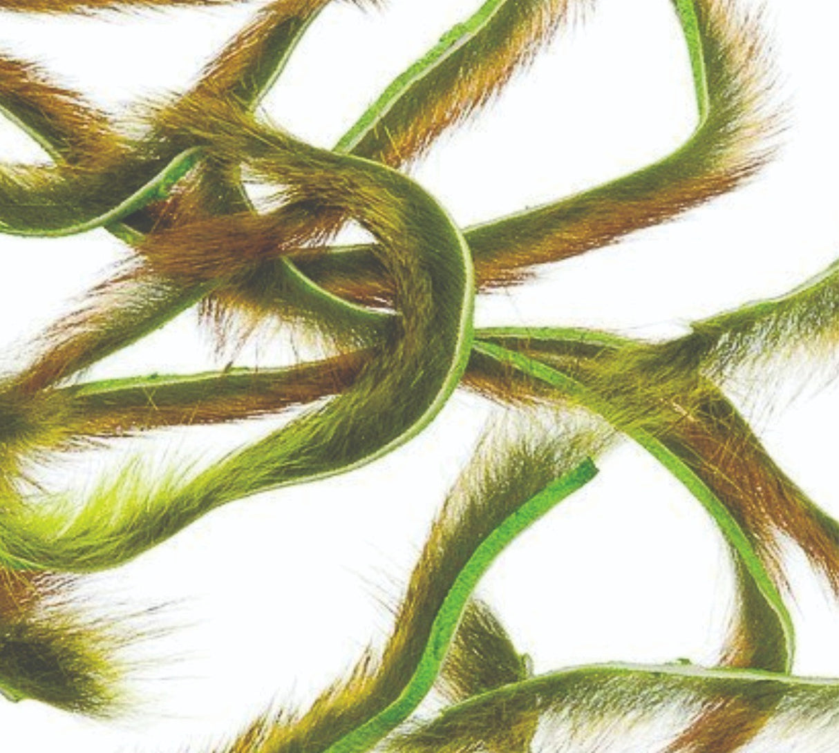 squirrel_zonker_strips-chartreuse_b.jpg