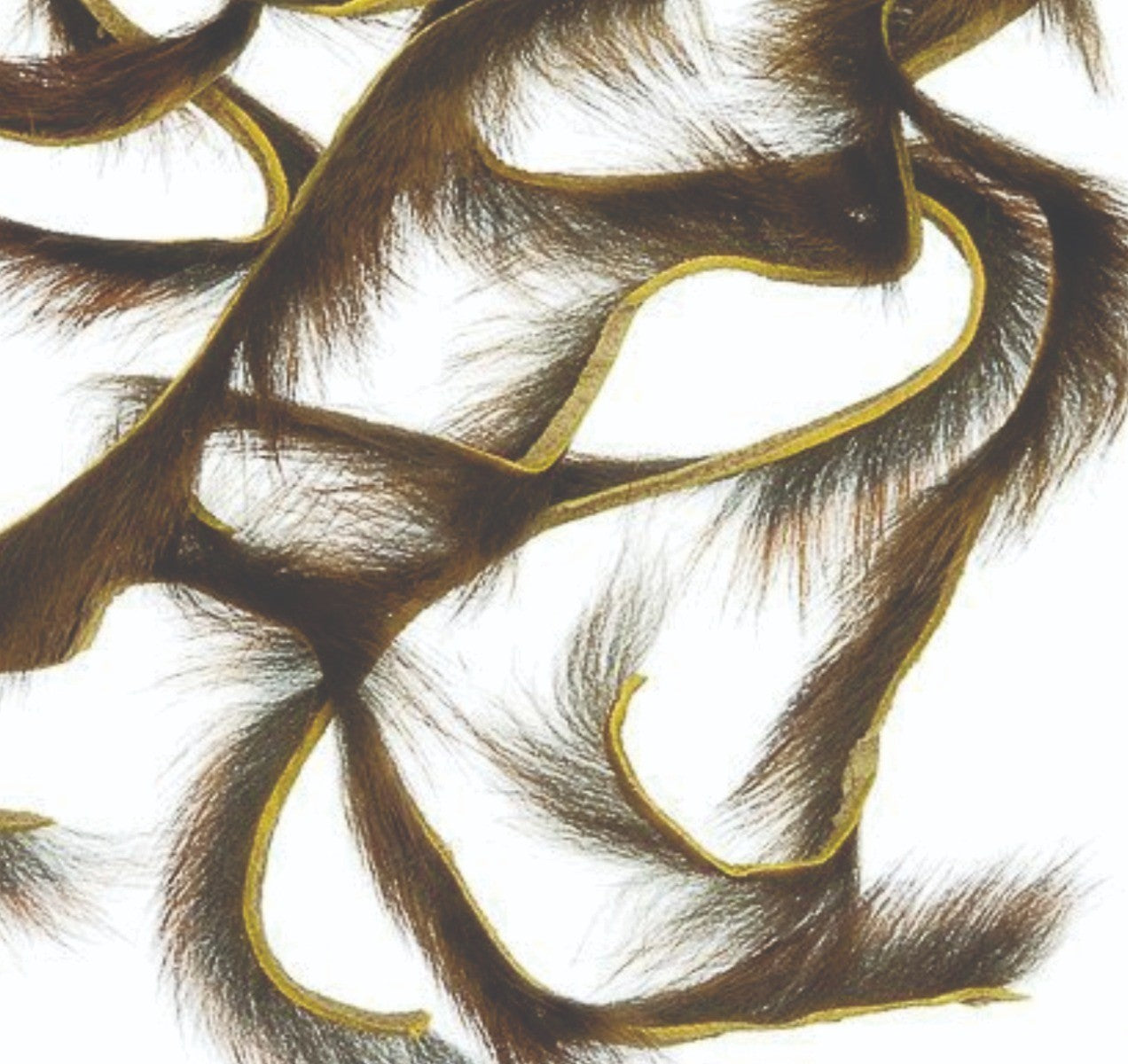squirrel_zonker_strips-olive_b.jpg