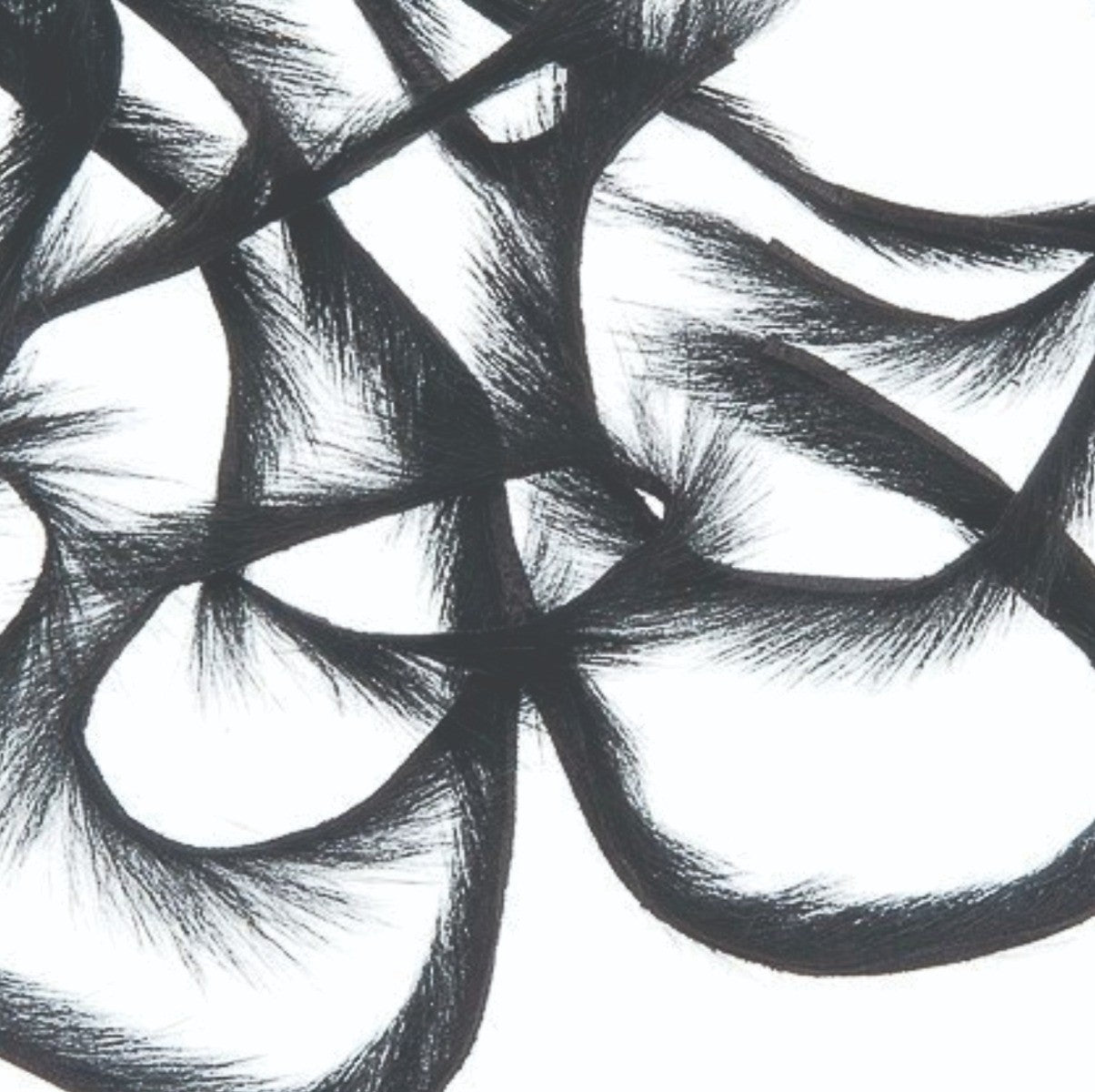 squirrel_zonker_strips_-_black_b.jpg