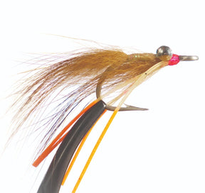 sw164_cc.jpg