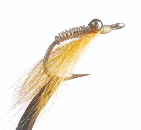 sw260_cc.jpg