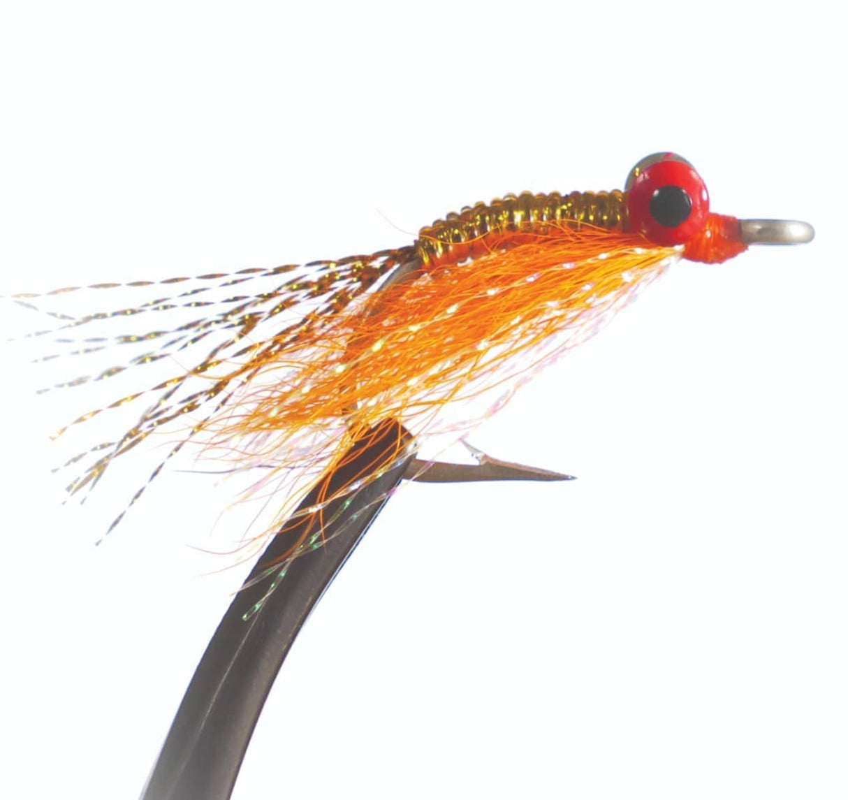 sw308_cc.jpg