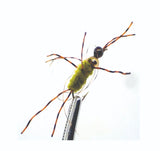 tn002_2.jpg