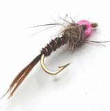 tn116.jpg