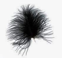 turkey_marabou_small_black.jpg
