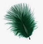 turkey_marabou_small_green.jpg