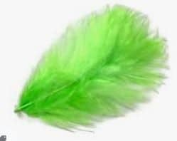 turkey_marabou_small_insect_green.jpg