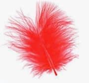 turkey_marabou_small_red.jpg
