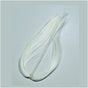white_ff01.jpg