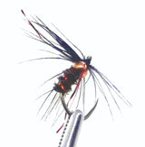 ww04bl.jpg